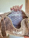 20261012_113943.webp