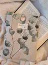 Pochette à livre eucalyptus